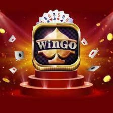 What is Wingo Casino?