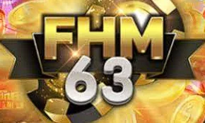How to login FHM63?
